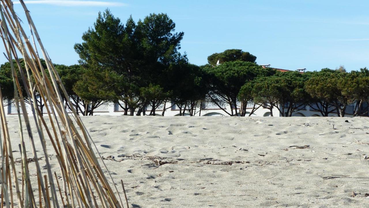 Belle Vue Sur Mer Au Calme アルジェレス・シュル・メール エクステリア 写真