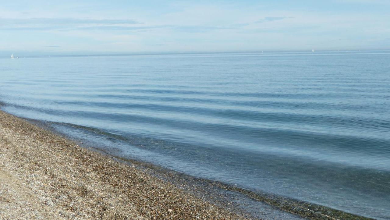 Belle Vue Sur Mer Au Calme アルジェレス・シュル・メール エクステリア 写真